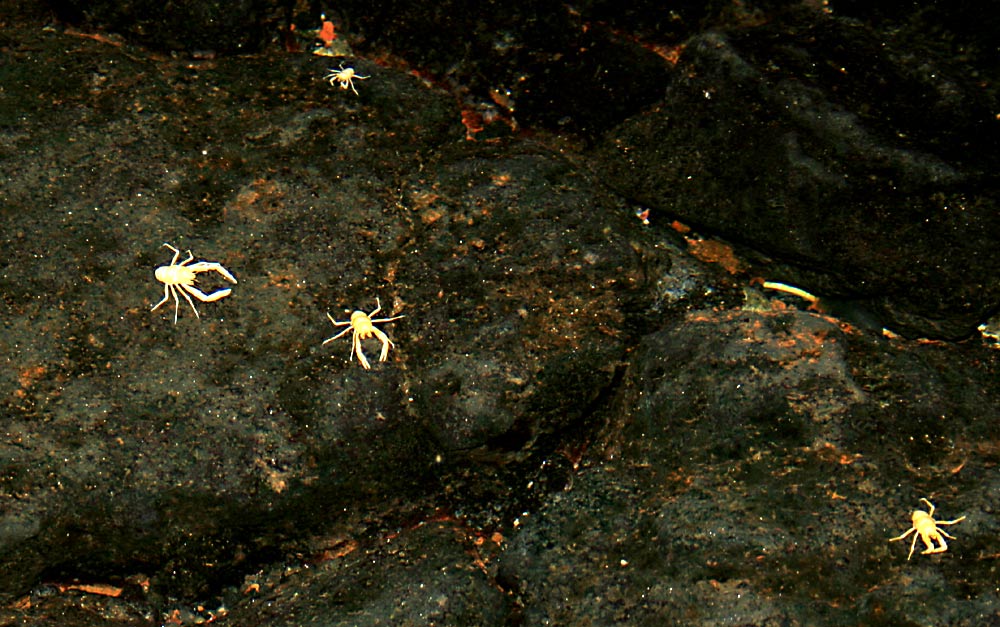 Foto de Lanzarote (Las Palmas), España