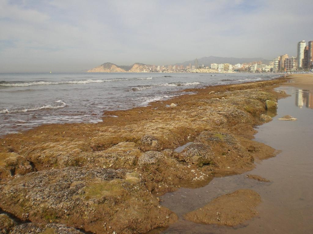 Foto de Benidorm (Alicante), España