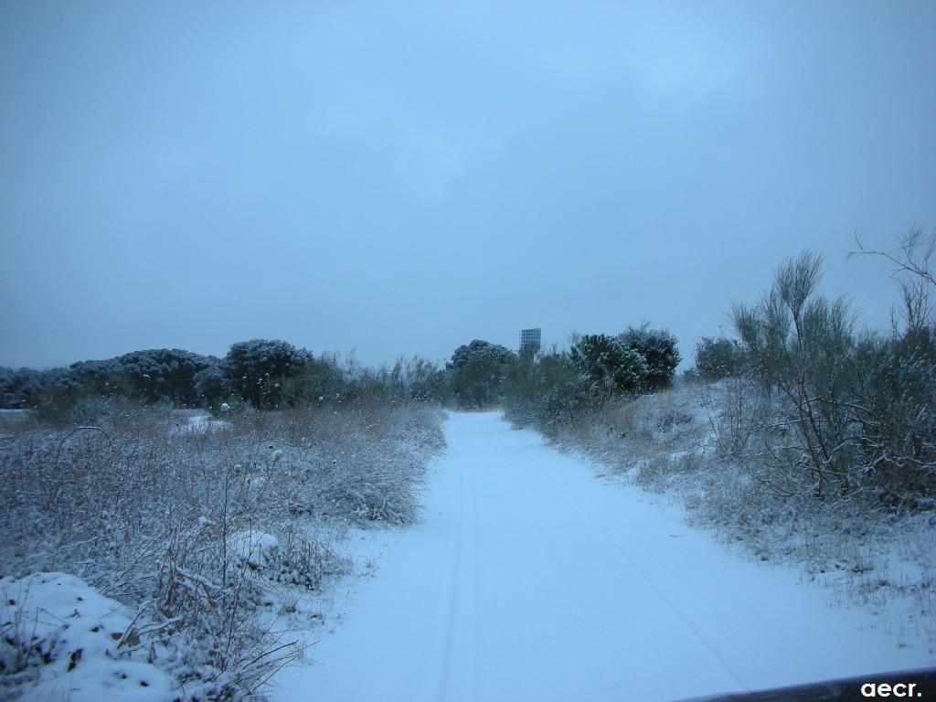 Foto de Pozuelo de Alarcón (Madrid), España