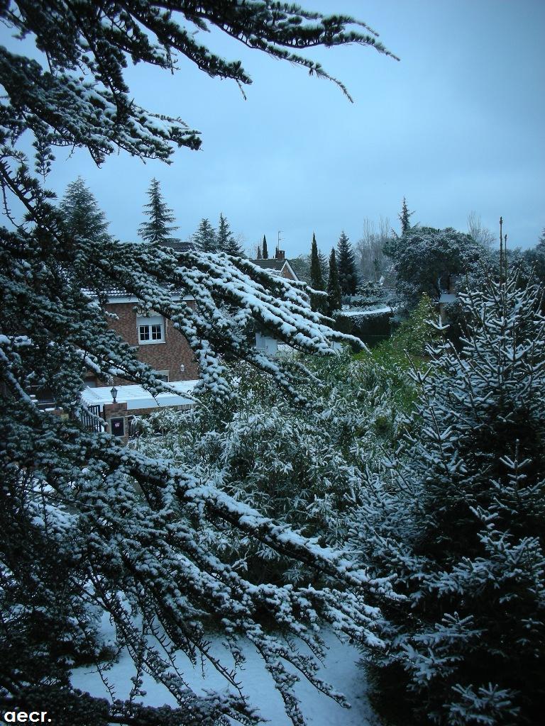 Foto de Pozuelo de Alarcón (Madrid), España