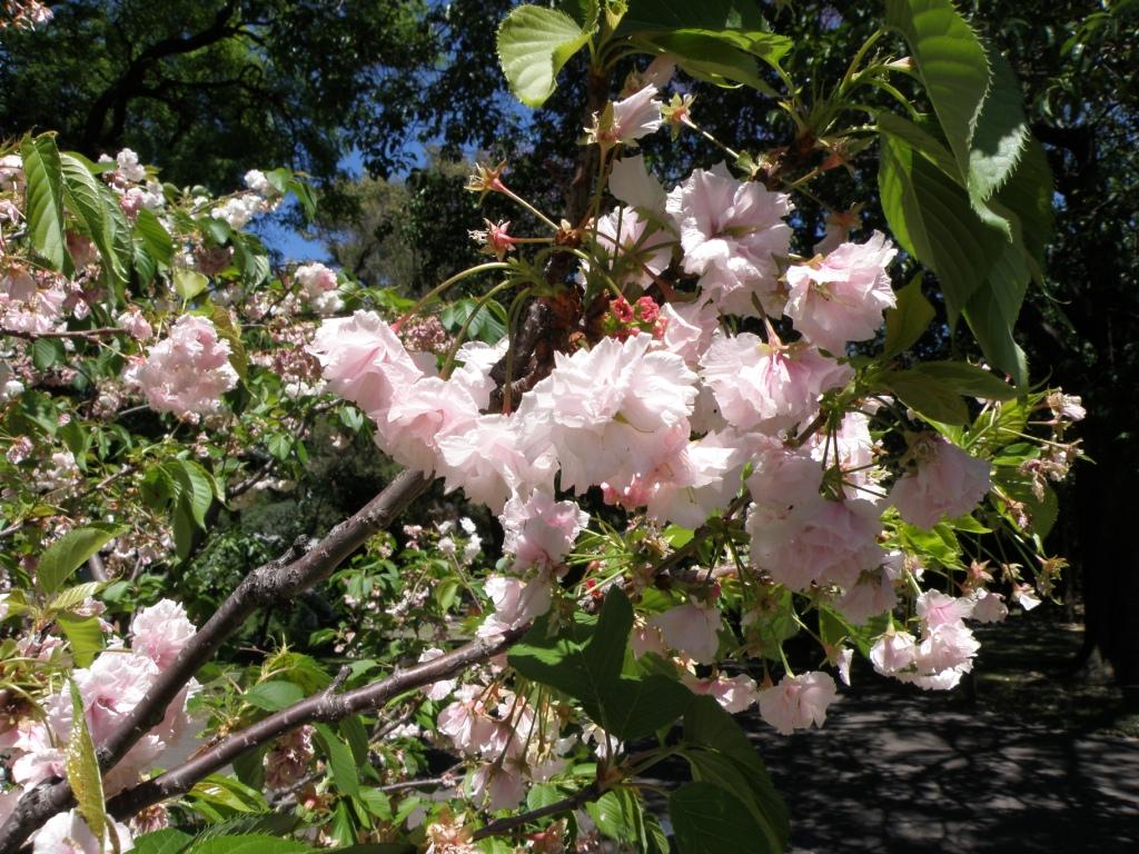 Foto de Buenos Aires, Argentina