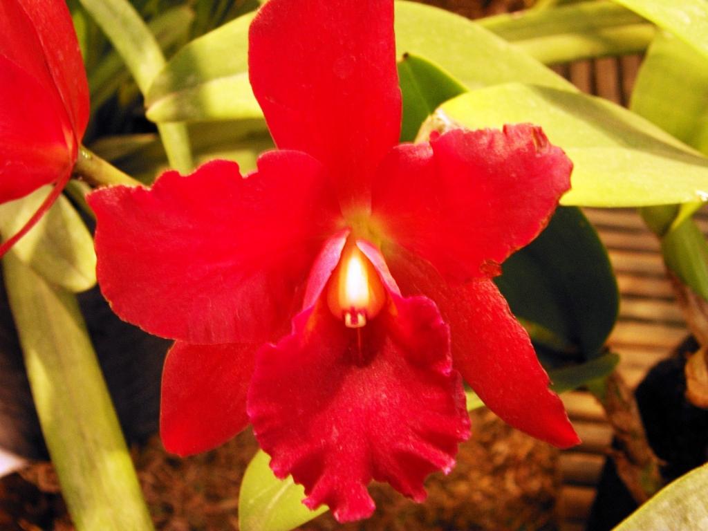 Foto de Buenos Aires, Argentina