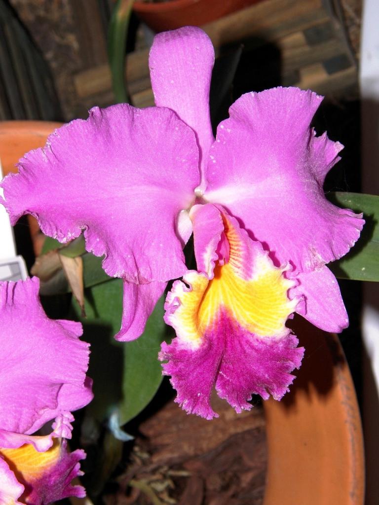 Foto de Buenos Aires, Argentina