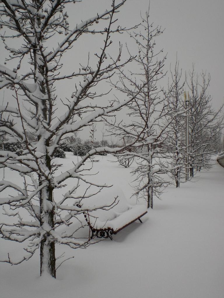 Foto de Madrid (Comunidad de Madrid), España