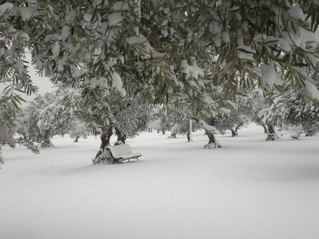 Foto de Madrid (Comunidad de Madrid), España