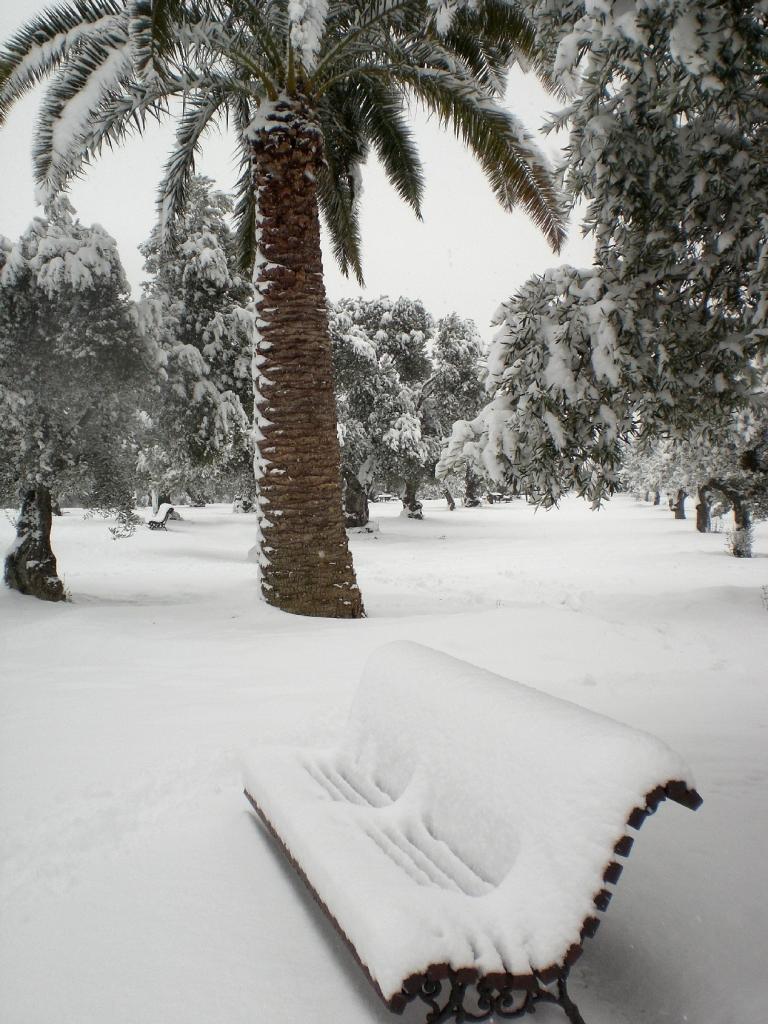 Foto de Madrid (Comunidad de Madrid), España