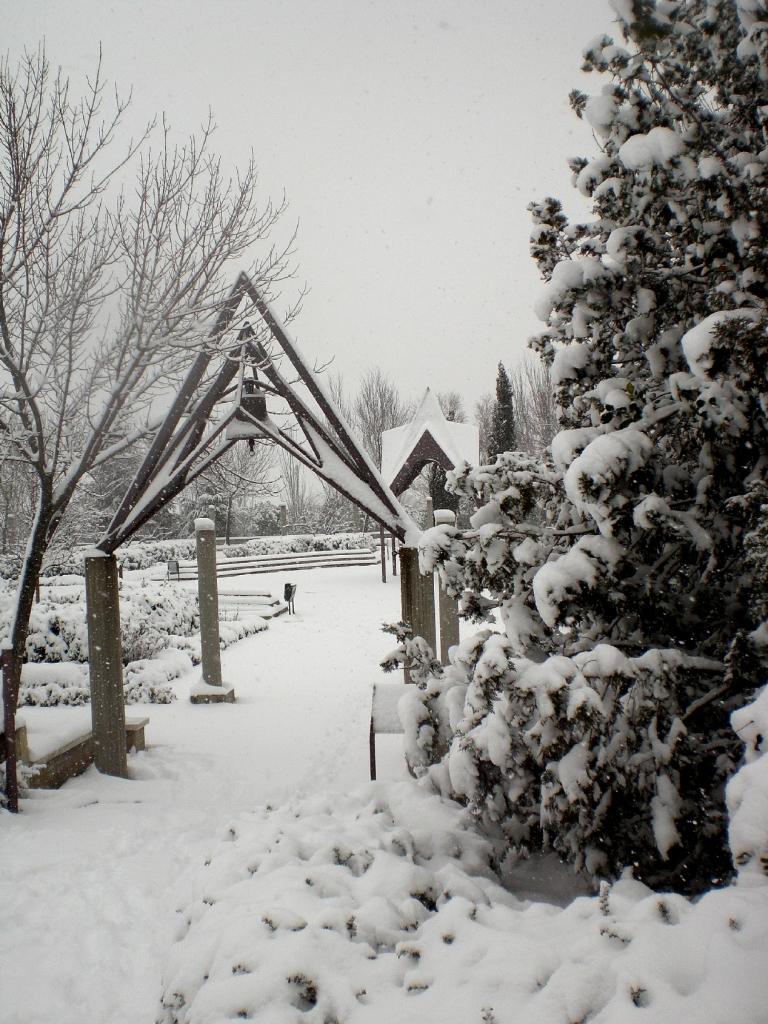 Foto de Madrid (Comunidad de Madrid), España