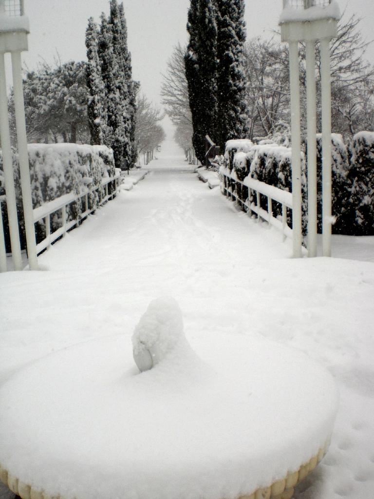 Foto de Madrid (Comunidad de Madrid), España