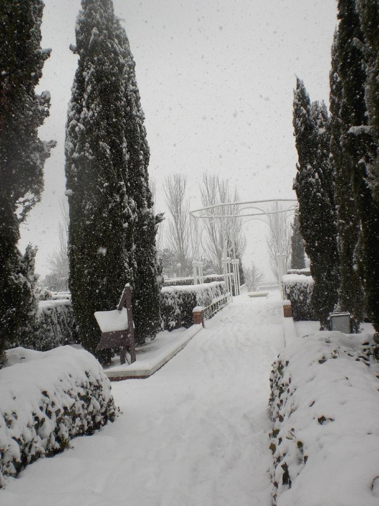 Foto de Madrid (Comunidad de Madrid), España