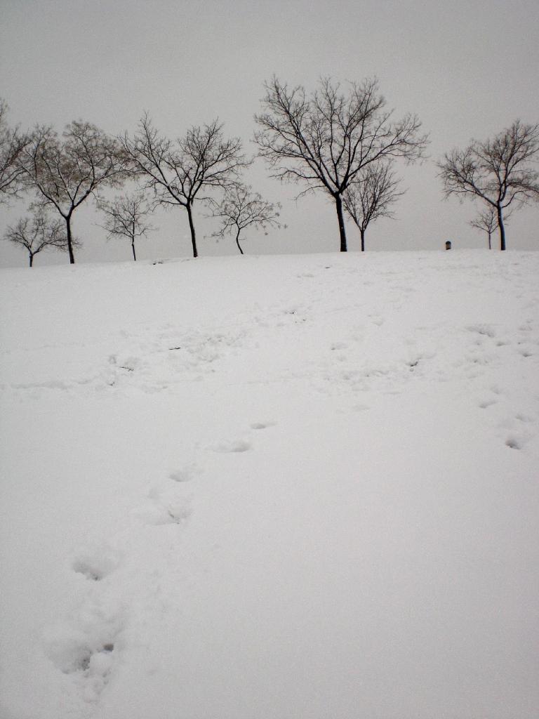 Foto de Madrid (Comunidad de Madrid), España