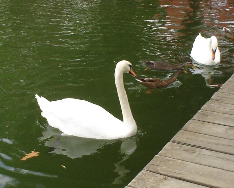 Foto de Puigcerdà (Girona), España