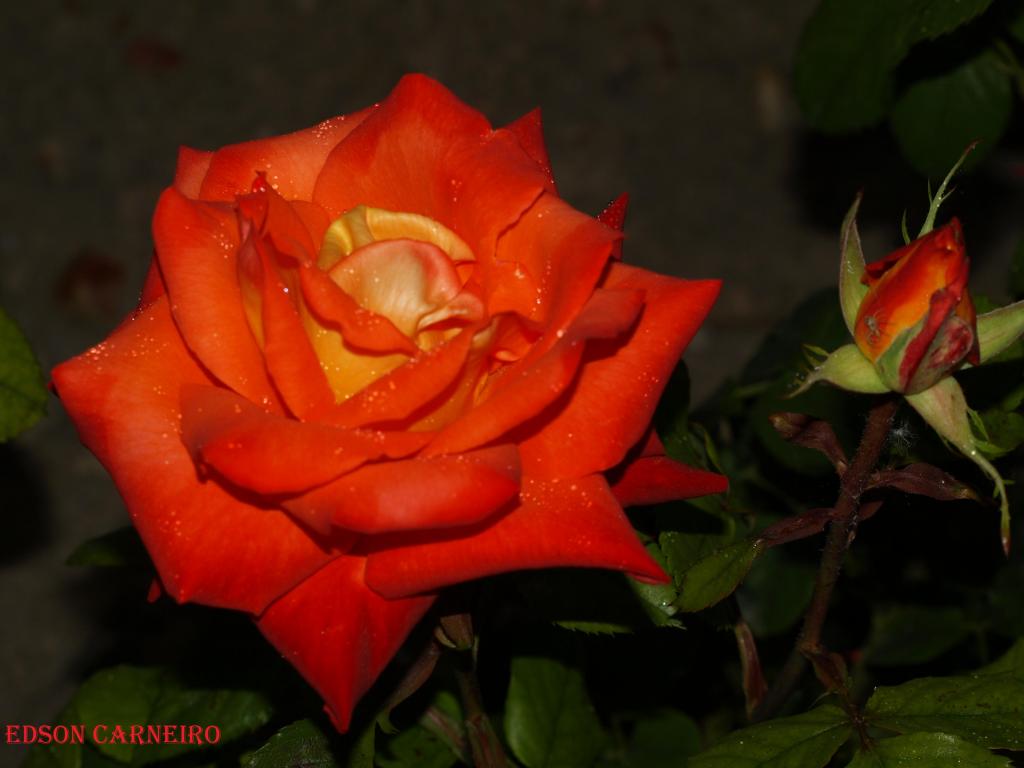 Foto de Peñafiel (Valladolid), España