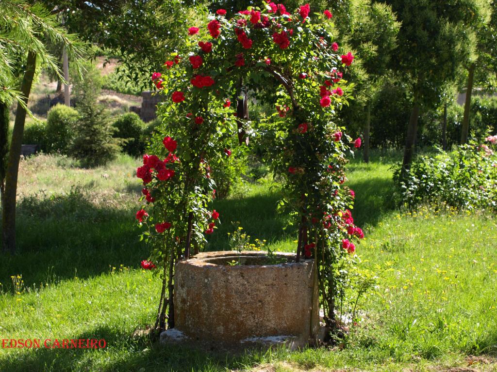 Foto de Piñel de Arriba (Valladolid), España
