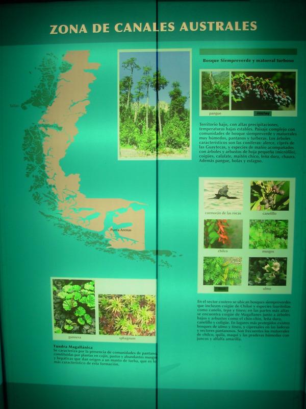 Foto de Santiago, Chile