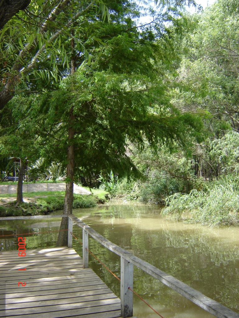 Foto de Delta del Paraná (Entre Ríos), Argentina