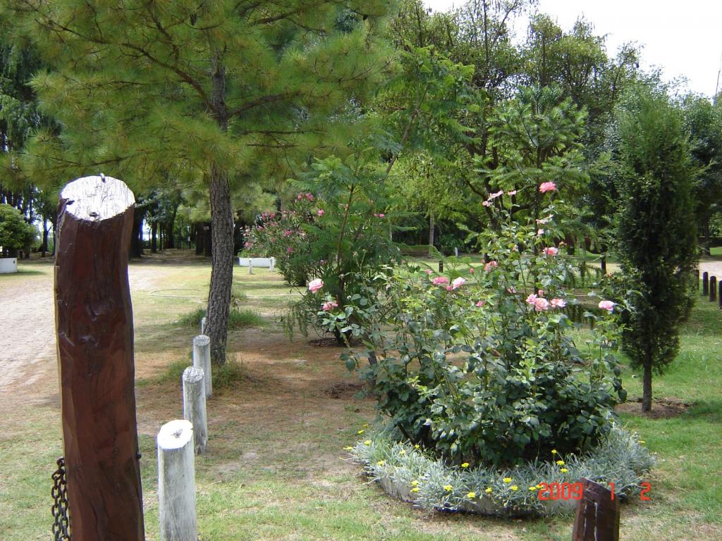 Foto de Delta del Paraná (Entre Ríos), Argentina