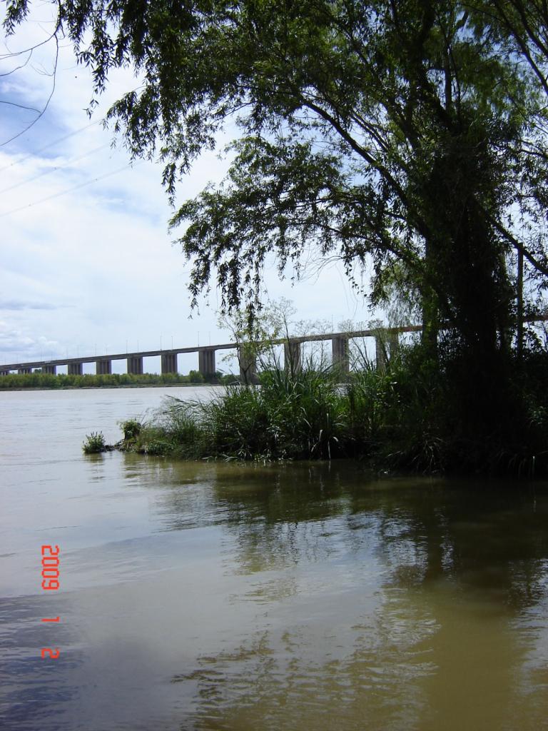 Foto de Delta del Paraná (Entre Ríos), Argentina