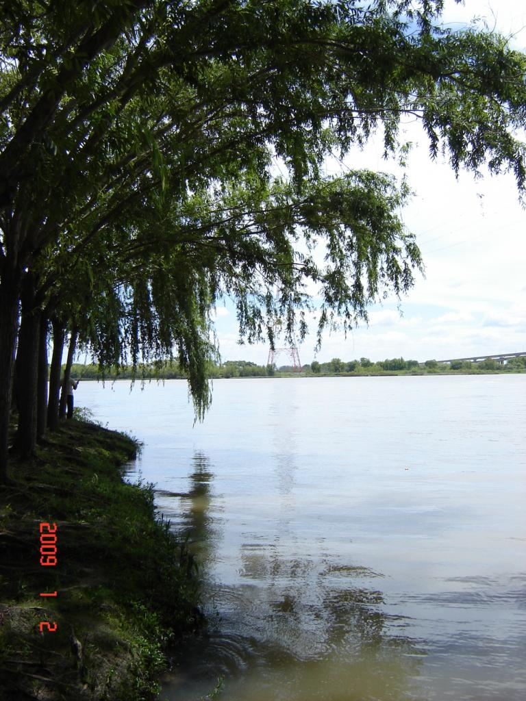 Foto de Delta del Paraná (Entre Ríos), Argentina