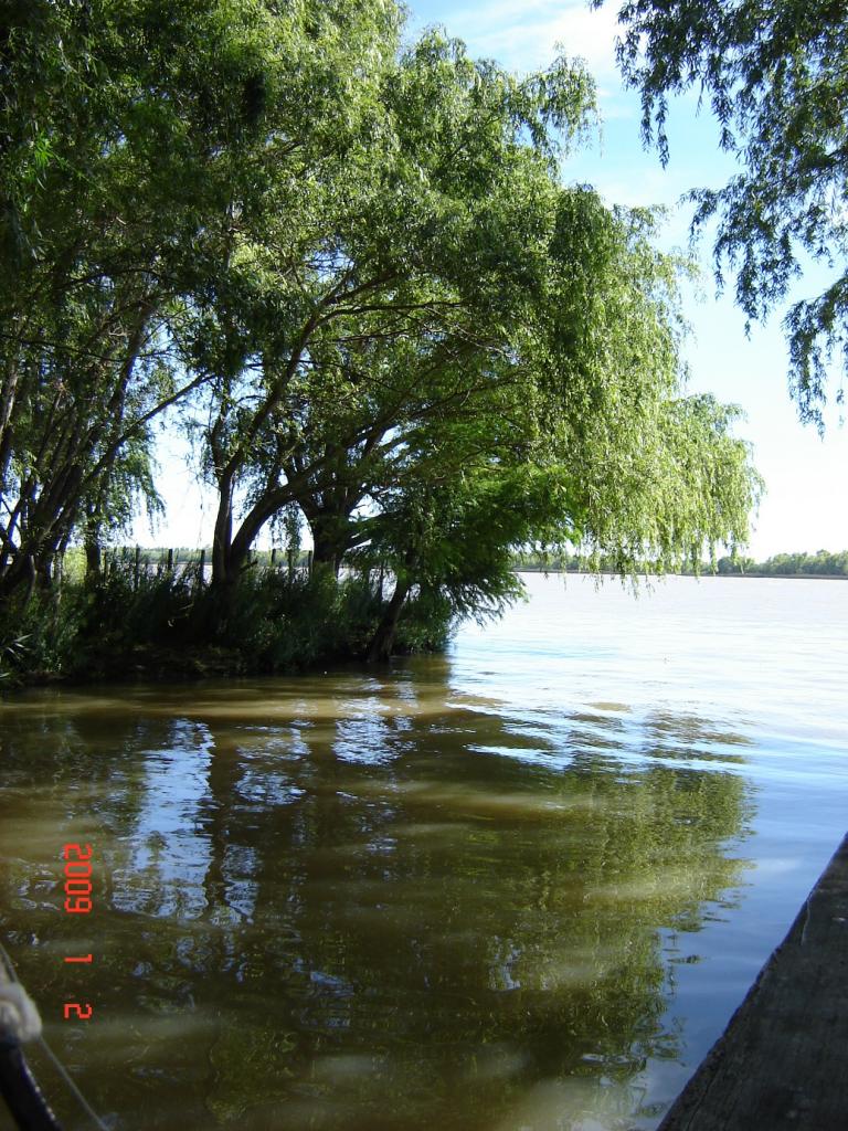 Foto de Delta del Paraná (Entre Ríos), Argentina