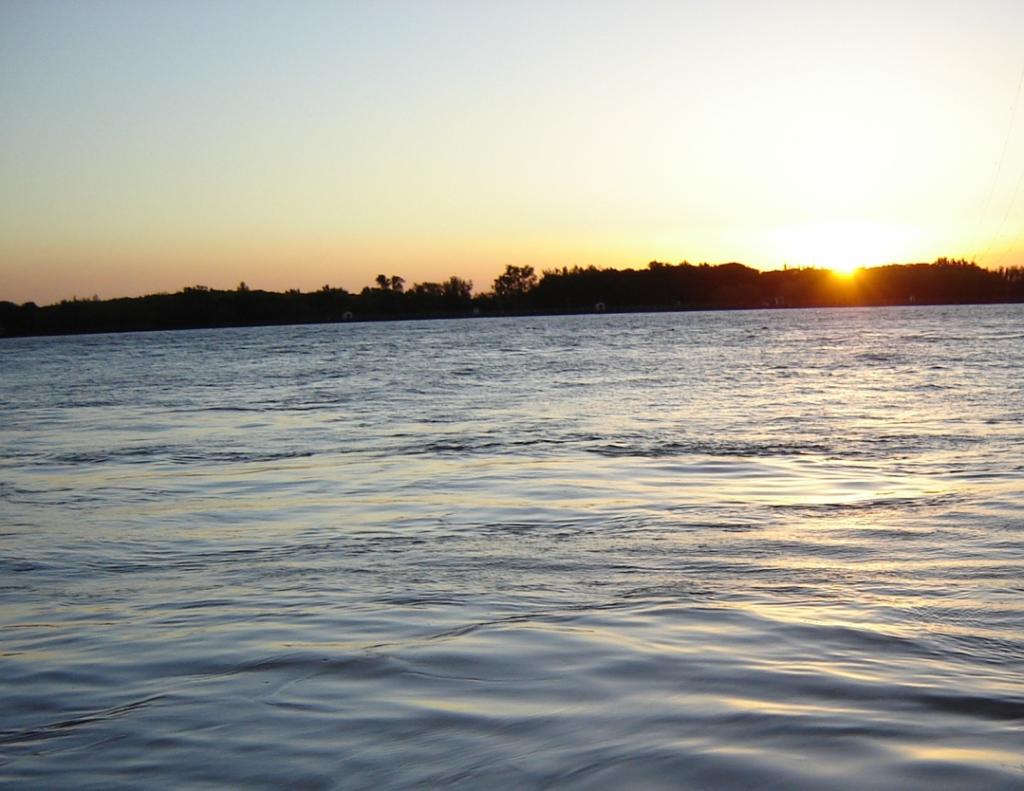 Foto de Delta del Paraná (Entre Ríos), Argentina