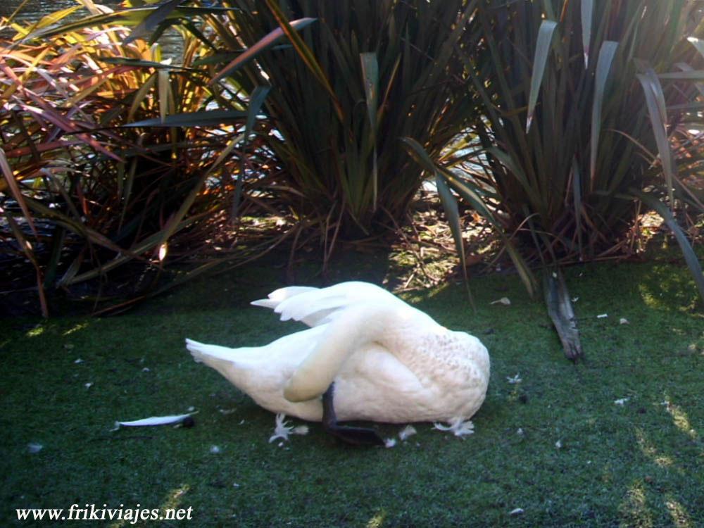 Foto de Oviedo (Asturias), España