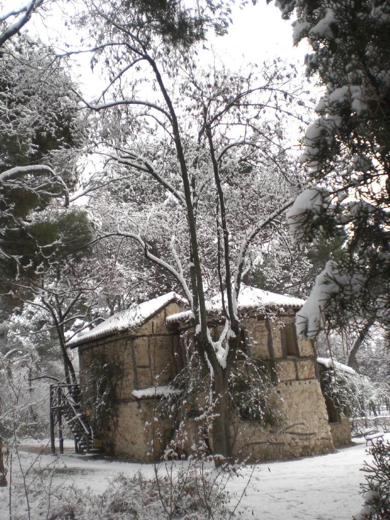 Foto de Madrid (Comunidad de Madrid), España