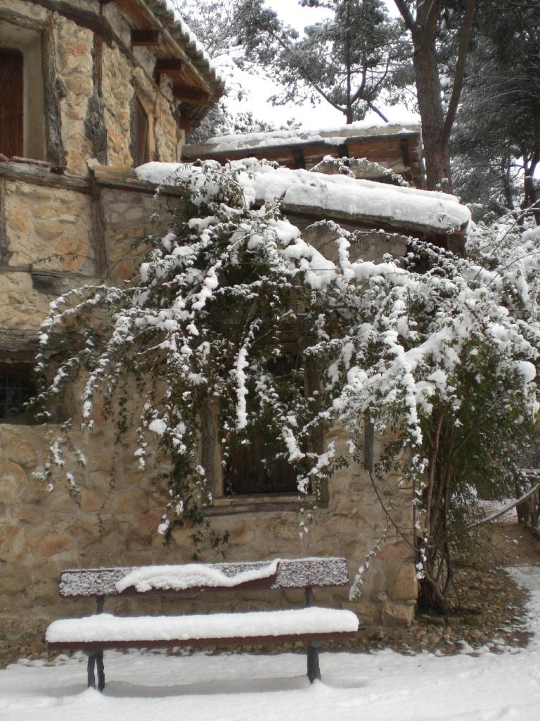 Foto de Madrid (Comunidad de Madrid), España