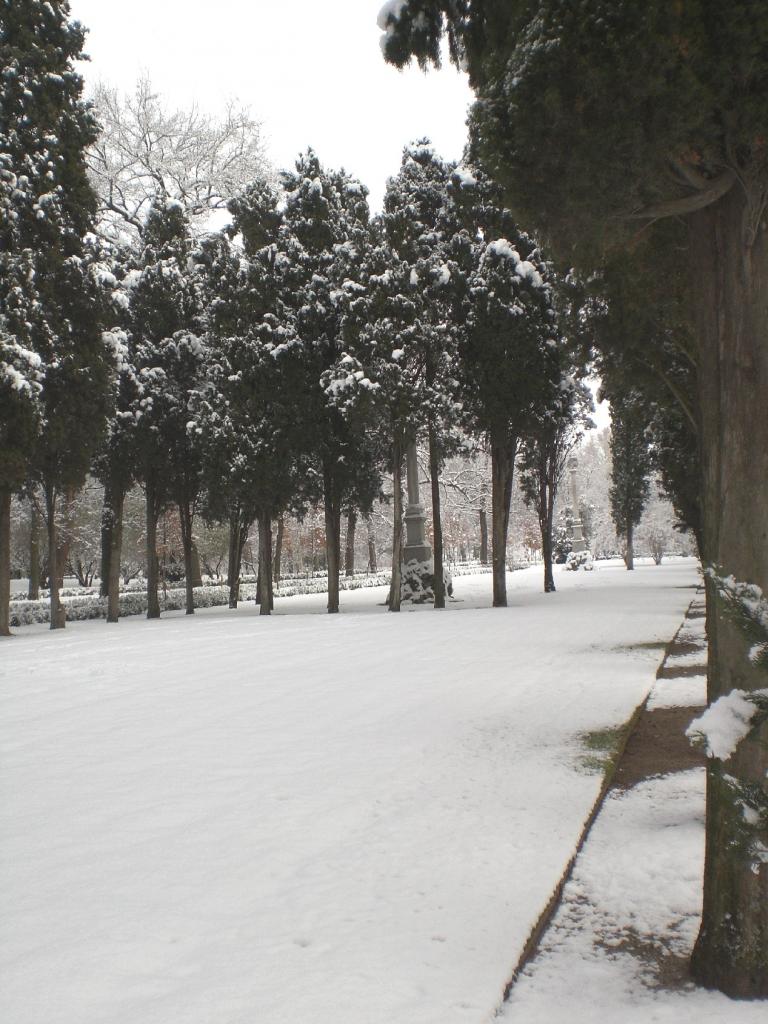Foto de Madrid (Comunidad de Madrid), España