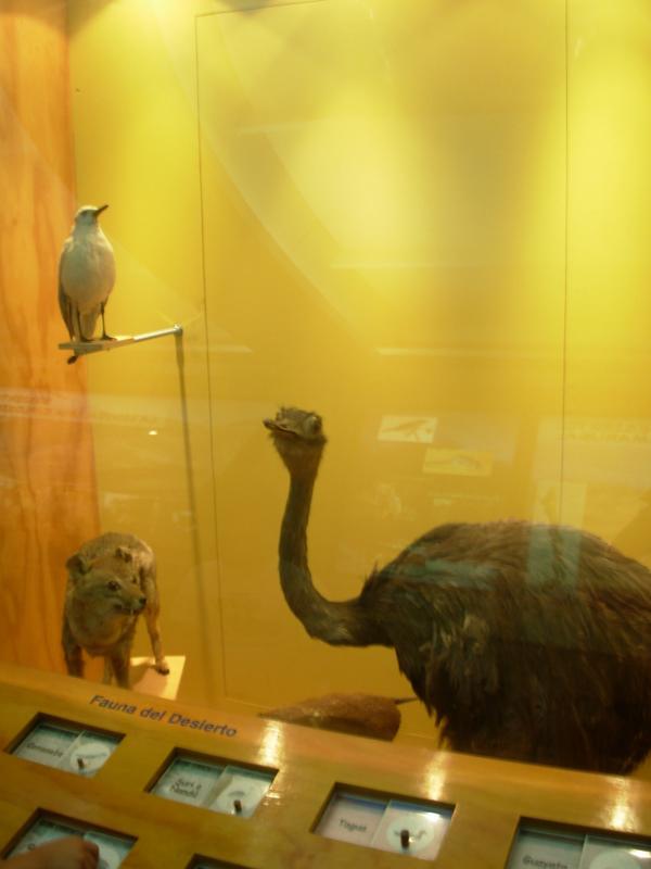 Foto de Santiago, Chile