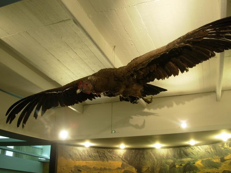 Foto de Santiago, Chile