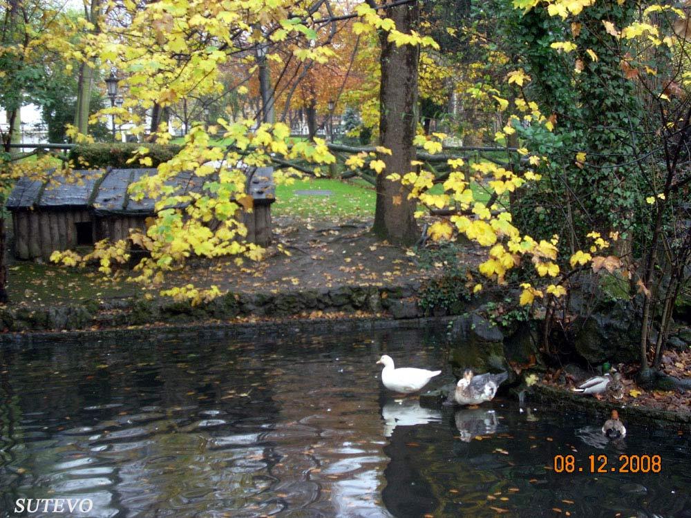 Foto de Oviedo (Asturias), España