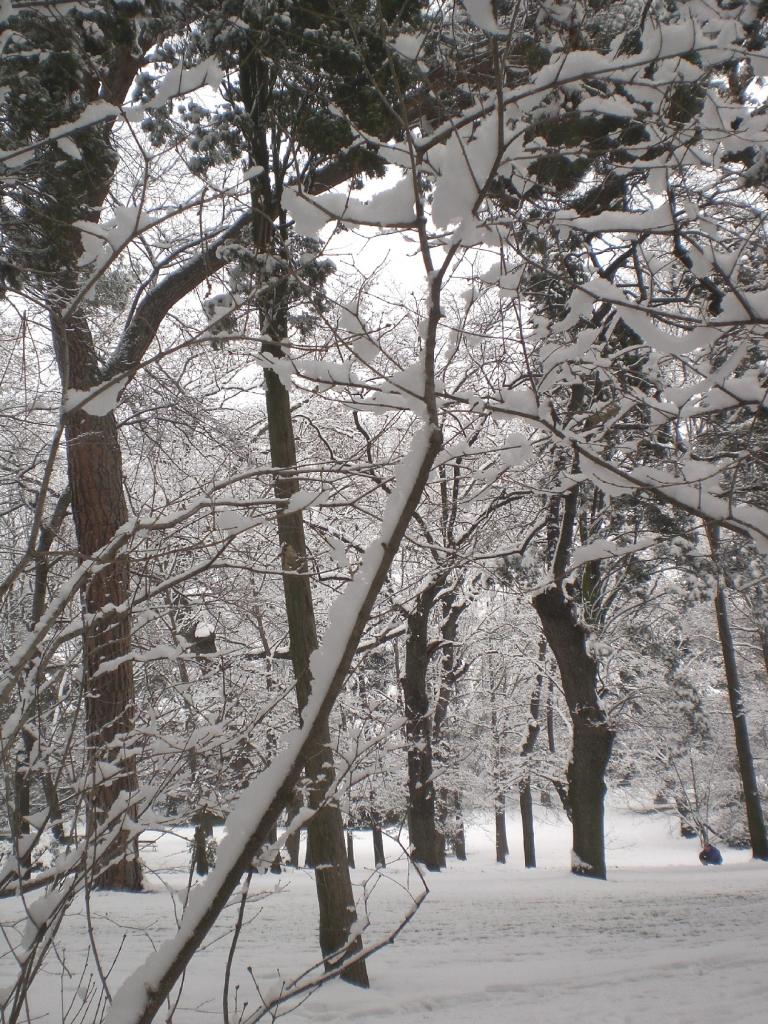 Foto de Madrid (Comunidad de Madrid), España
