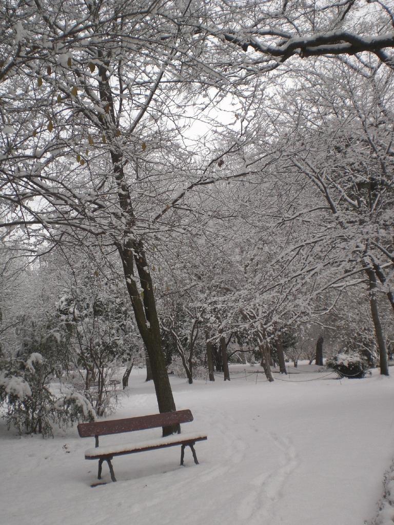 Foto de Madrid (Comunidad de Madrid), España