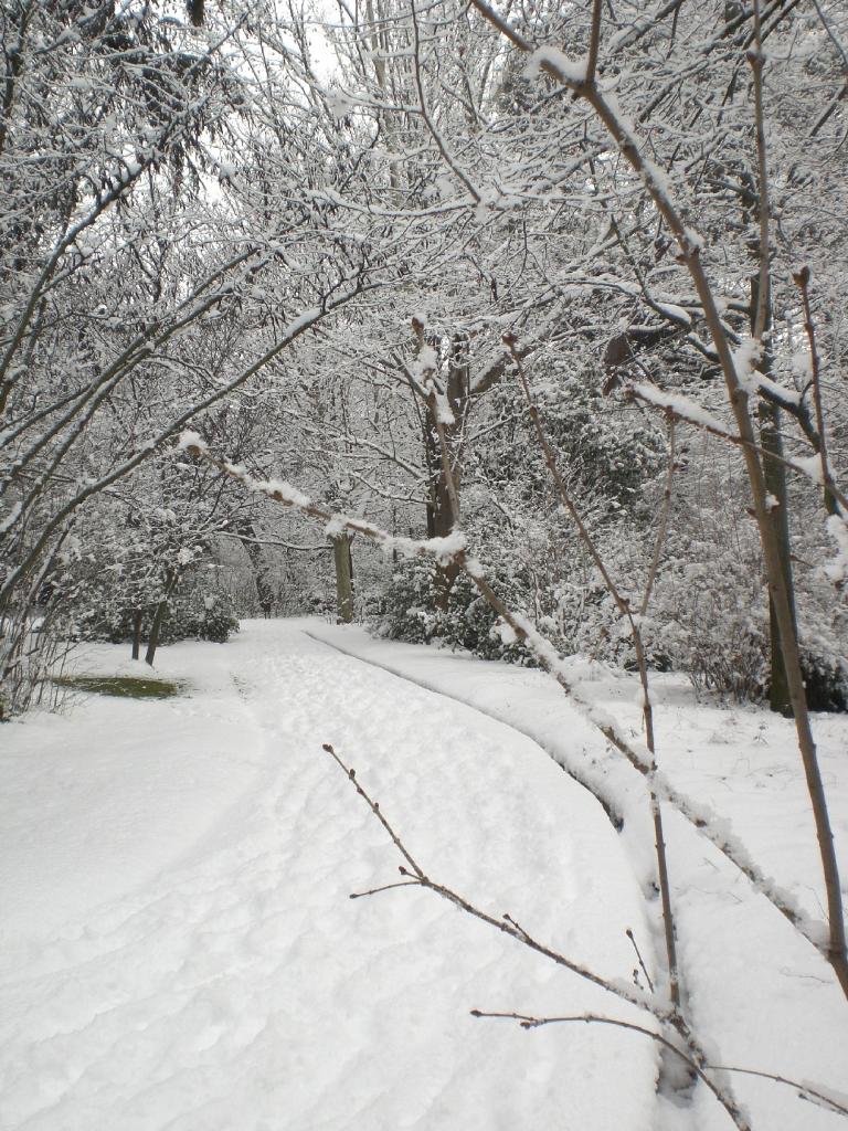 Foto de Madrid (Comunidad de Madrid), España