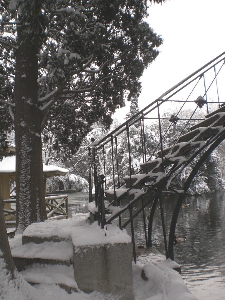 Foto de Madrid (Comunidad de Madrid), España