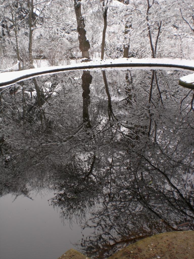 Foto de Madrid (Comunidad de Madrid), España