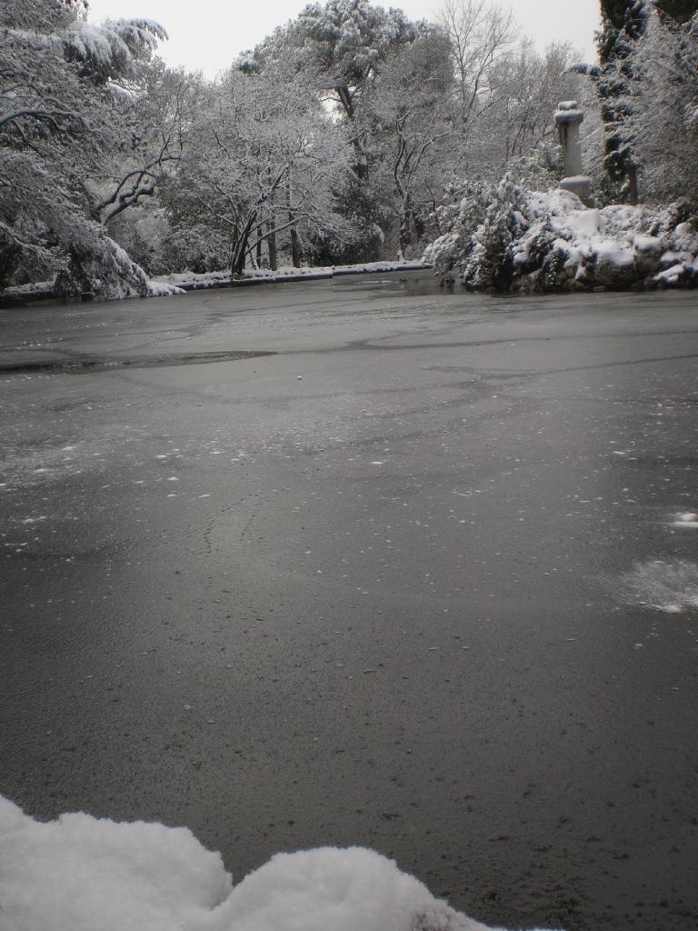 Foto de Madrid (Comunidad de Madrid), España