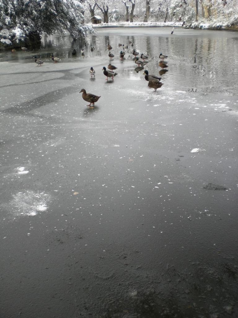 Foto de Madrid (Comunidad de Madrid), España