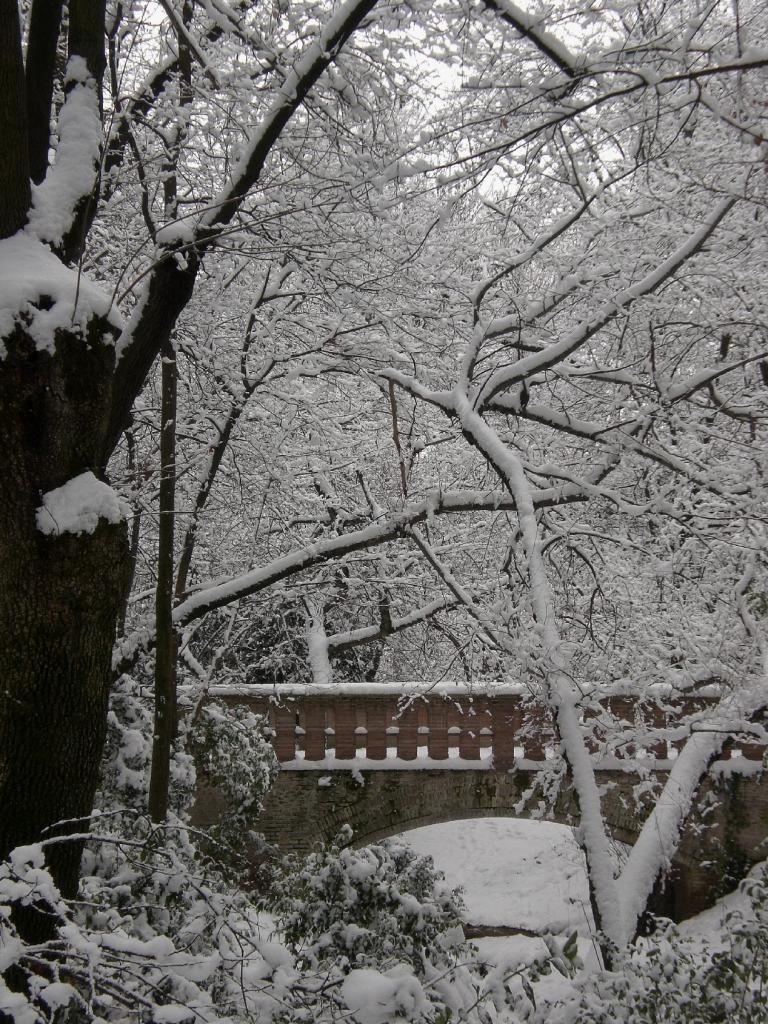 Foto de Madrid (Comunidad de Madrid), España