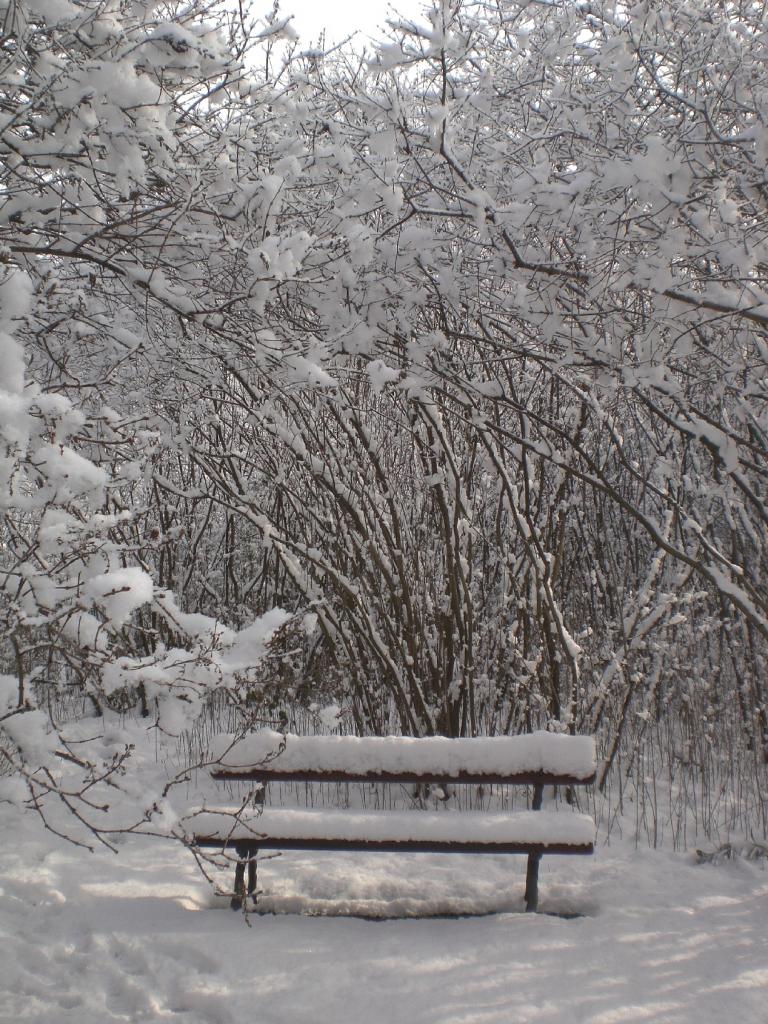 Foto de Madrid (Comunidad de Madrid), España