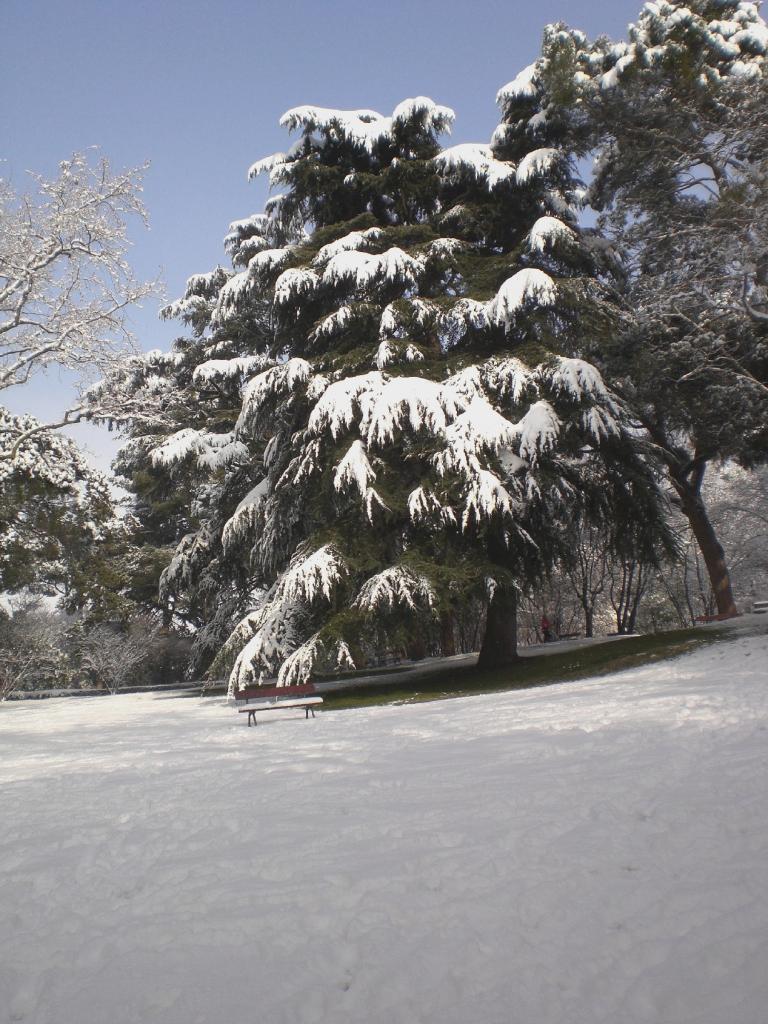 Foto de Madrid (Comunidad de Madrid), España