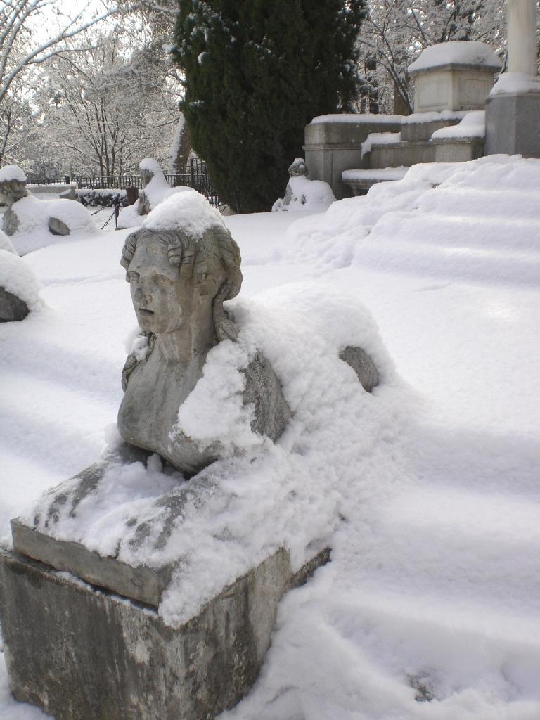 Foto de Madrid (Comunidad de Madrid), España