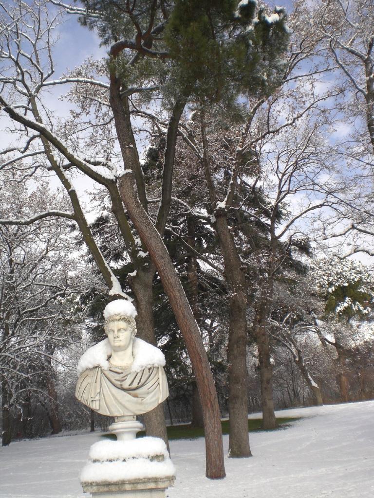 Foto de Madrid (Comunidad de Madrid), España