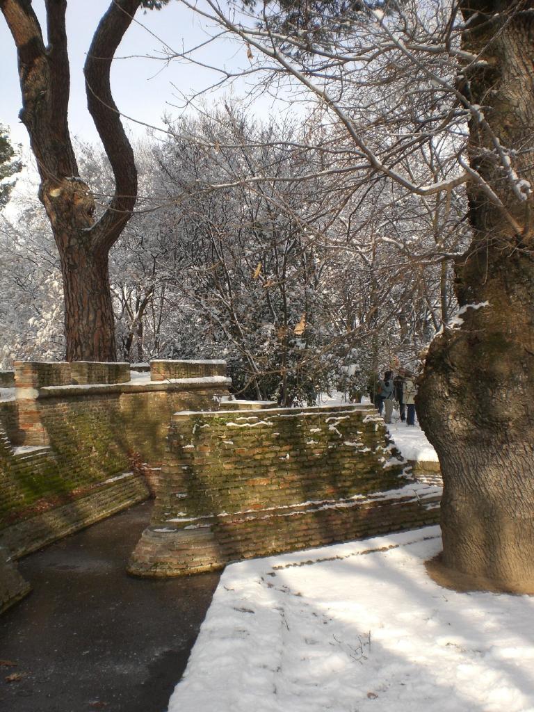 Foto de Madrid (Comunidad de Madrid), España