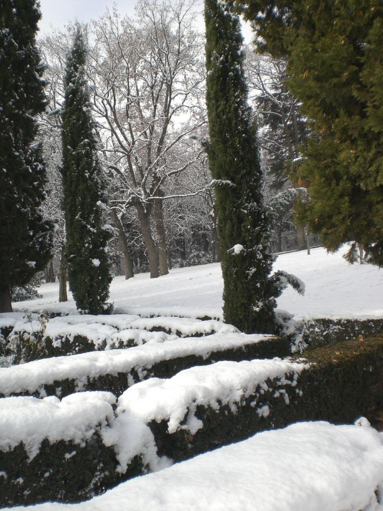 Foto de Madrid (Comunidad de Madrid), España