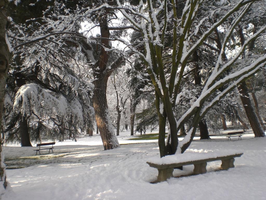 Foto de Madrid (Comunidad de Madrid), España