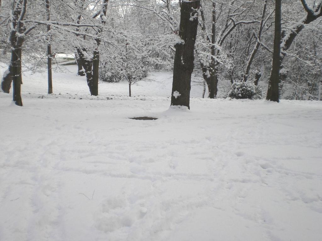 Foto de Madrid (Comunidad de Madrid), España
