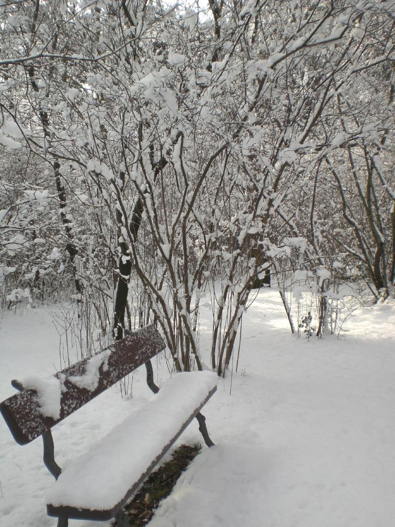 Foto de Madrid (Comunidad de Madrid), España