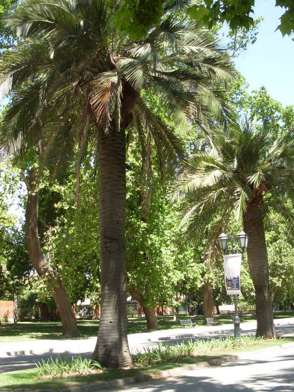 Foto de Santiago, Chile