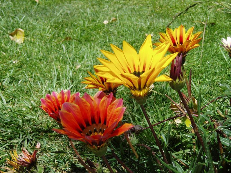 Foto de Oruro, Bolivia